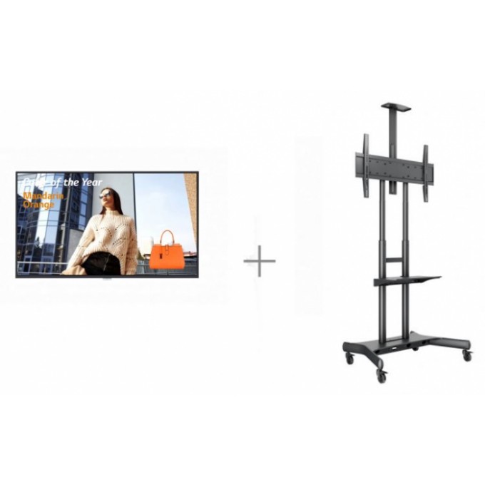 Комплект Digital Signage для помещений с дисплеем LG WebOS Signage, 49 дюймов, UHD, мобильной стойкой и пробной версией ПО для управления CMS DS-49UHJ